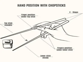 Diagram illustrating the correct hand position for holding chopsticks, showing the movable top stick and steady lower stick, and the V-shape formed by the sticks.