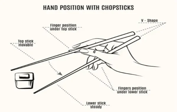 The Fundamentals of Chopstick Grip: A Visual Breakdown Diagram illustrating the correct hand position for holding chopsticks, showing the movable top stick and steady lower stick, and the V-shape formed by the sticks.