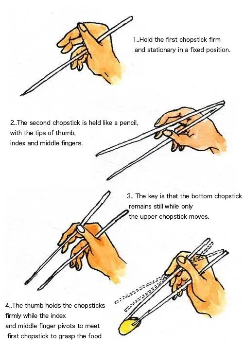 Four step-by-step illustrations demonstrating how to hold chopsticks: 1. Holding the first chopstick firm and stationary. 2. Holding the second chopstick like a pencil. 3. Emphasizing the bottom chopstick remains still while the upper one moves. 4. Showing the thumb holding firmly while fingers pivot to grasp food.
